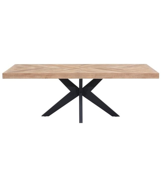 DTP Home Masterpiece eettafel Einstein 220 cm