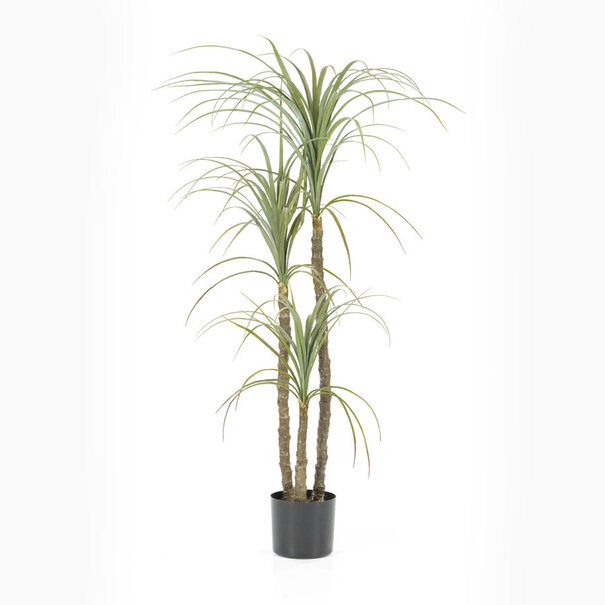 By-Boo By-Boo kunstplant Yucca op stam