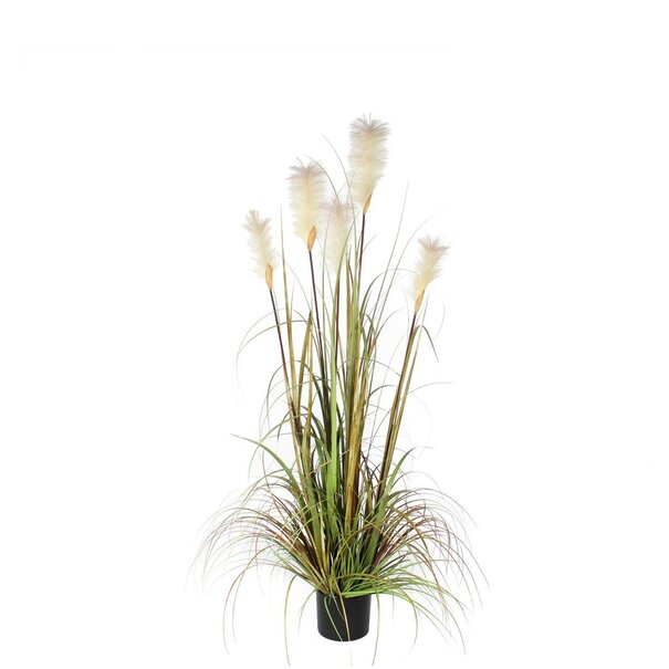 Mica Decorations Pluimgras Foxtail Kunstplant - H150 x Ø70 cm - Groen