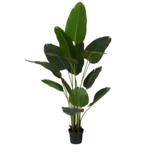 Kunstplant Bananenboom in Pot - H180 x Ø30 cm - Groen