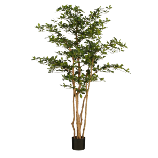 Kunstplant Olijfboom in Pot - H183 x Ø130 cm - Groen