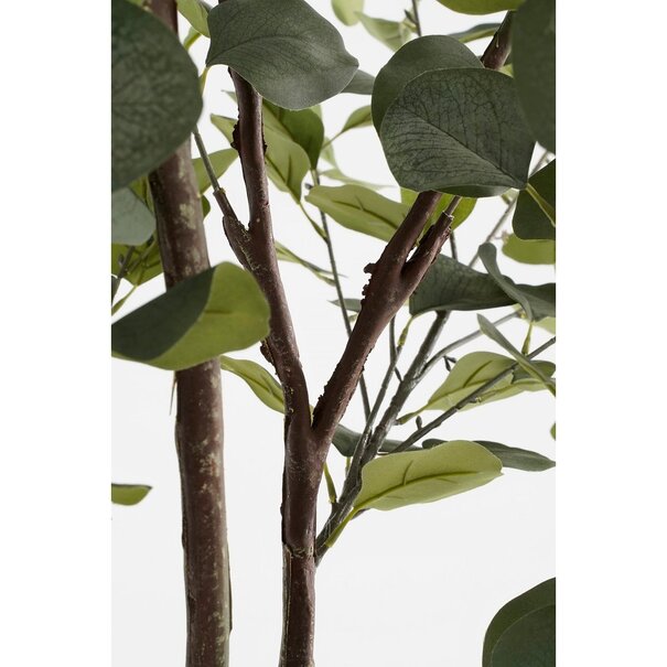Mica Decorations Kunstplant Eucalyptusboom in Pot - H180 x Ø80 cm - Groen