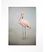 Urban Cotton Wandkleed Flamingo Vintage