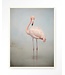 Urban Cotton Wandkleed Flamingo Vintage