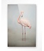 Urban Cotton Glasschilderij Flamingo Vintage