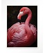 Urban Cotton Wandkleed Pink Flamingo