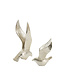 Wanddecoratie Vogels zilver