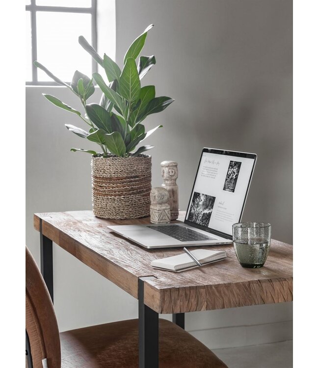 DTP Home Bureau Timeless Beam