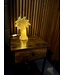 Lucide Tafellamp Palm Groen