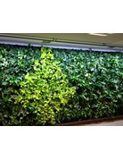 Parus Plant Light Living wall LED voor groene wanden