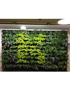 Parus Plant Light Living Wall LED for green wall application