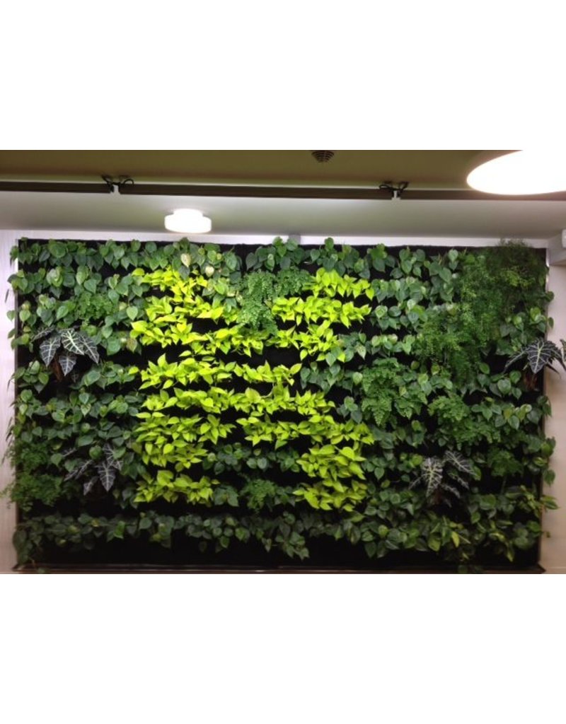 Parus Plant Light Living wall LED voor groene wanden