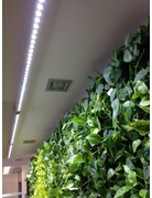 Parus Plant Light Living Wall LED for green wall application