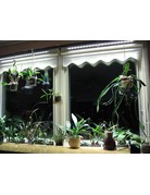 Parus Plant Light Window Silk or Office lighting 600mm