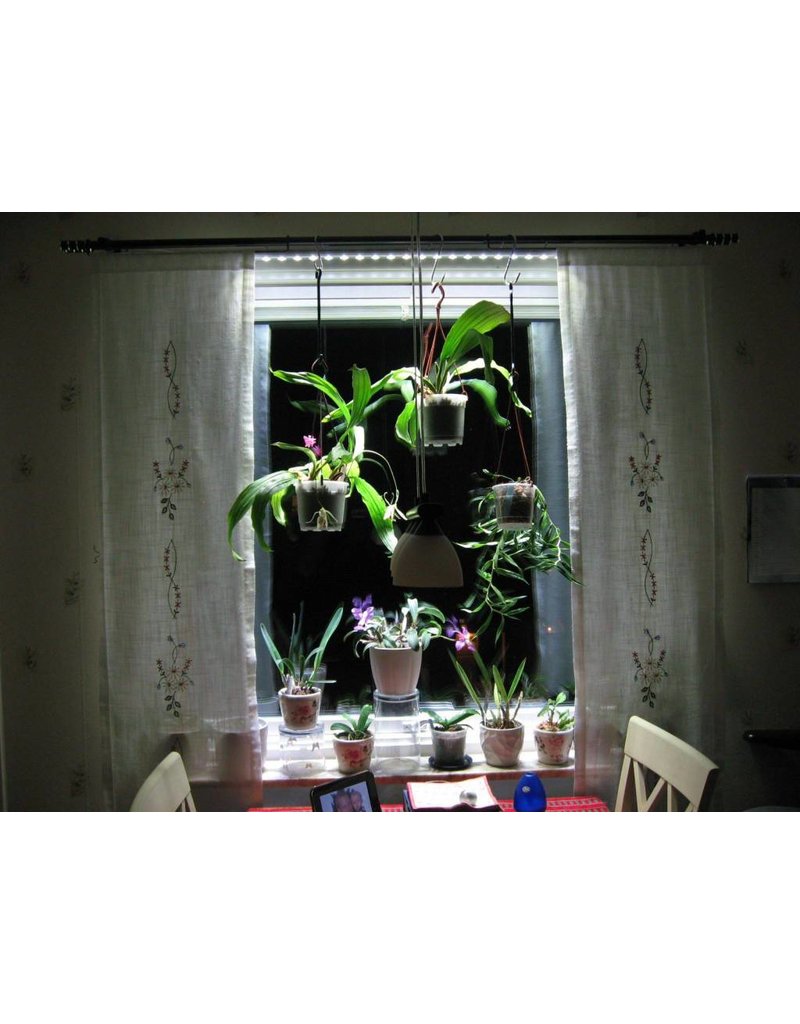 Parus Plant Light Window Silk or Office lighting 600mm