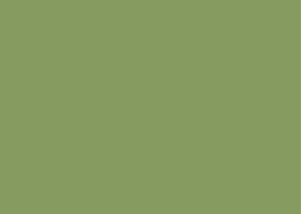 floorevents.com UNI Placemat vinyl | Groen