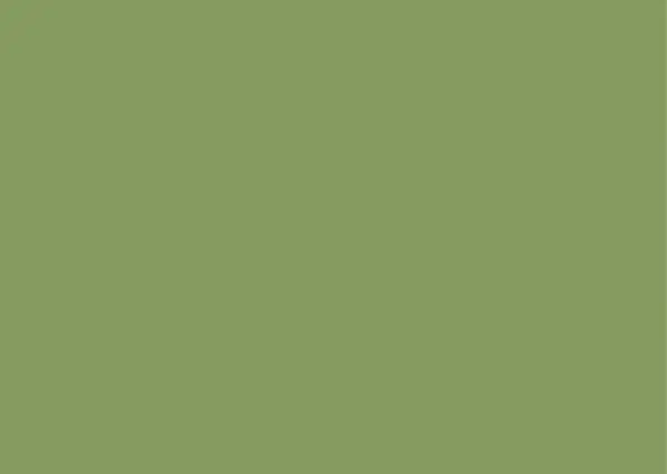 UNI Placemat vinyl | Green UNI Placemat vinyl | Green
