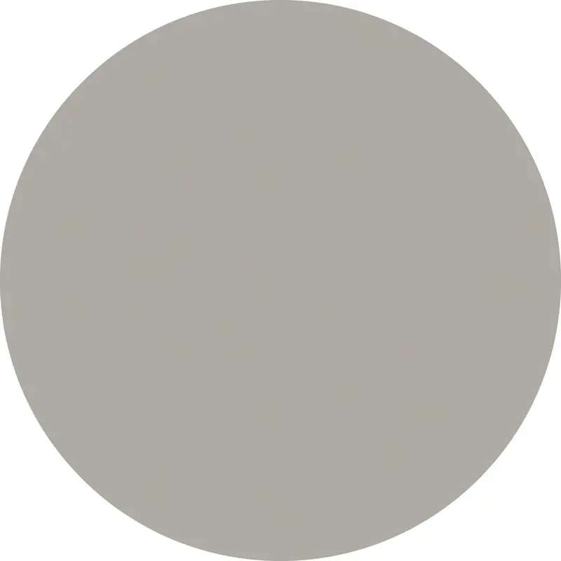 Tapis UNI vinyle rond | Gris clair