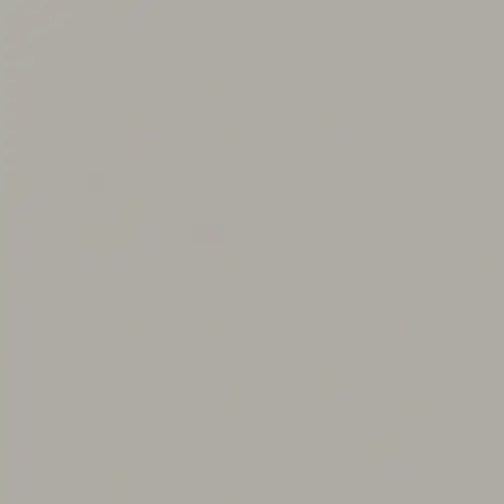 UNI kleed vinyl | Licht Grijs UNI kleed vinyl | Licht Grijs