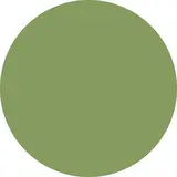 UNI kleed vinyl rond | Groen UNI kleed vinyl rond | Groen