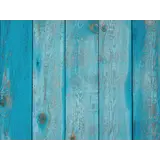 Induction protector  | Old Induction protector  | Old