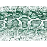 Vloerkleed vinyl | Snake groen Vloerkleed vinyl | Snake groen