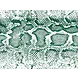 floorevents.com Vinyl rug | Snake green