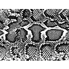Vloerkleed vinyl | Snakey