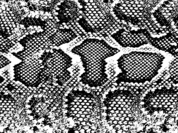 floorevents.com Vloerkleed vinyl | Snakey
