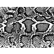 floorevents.com Vloerkleed vinyl | Snakey