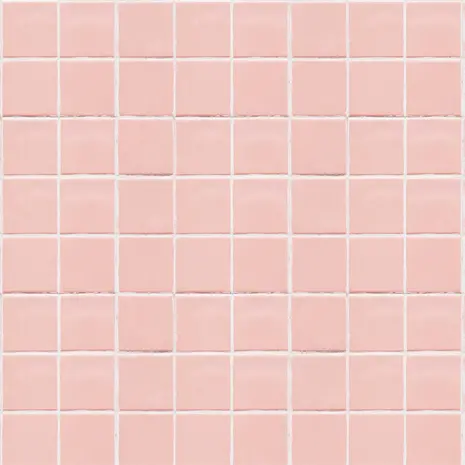 Induction protector  | 17 Induction protector  | 17