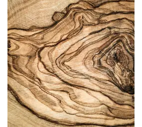 Induction protector  | 8