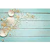 Induction protector | Shells