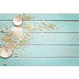 Induction protector | Shells Induction protector | Shells