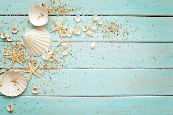 Induktionsschutz | Muscheln Induktionsschutz | Muscheln