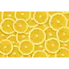 floorevents.com Induction protector  | Orange