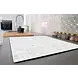 floorevents.com Induction protector  | 3