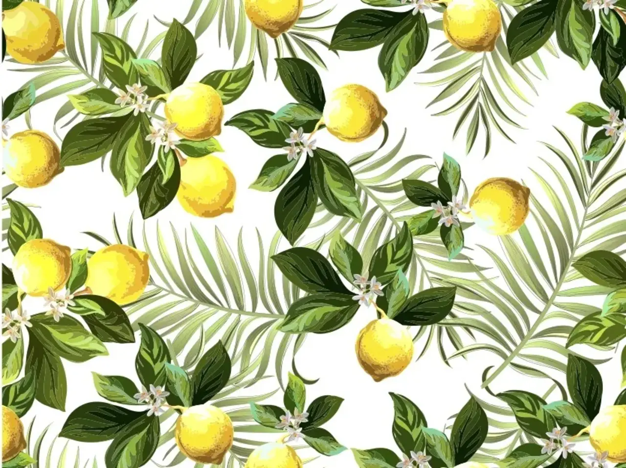 Induktionsschutz | Zitronen