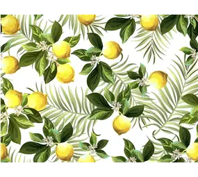 Inductie beschermer  | Citroenen