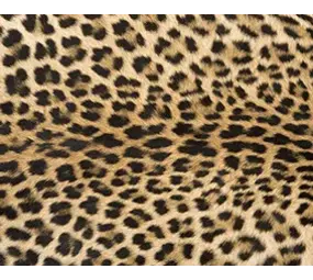 Vinyl placemat | Leo. P Vinyl placemat | Leo. P