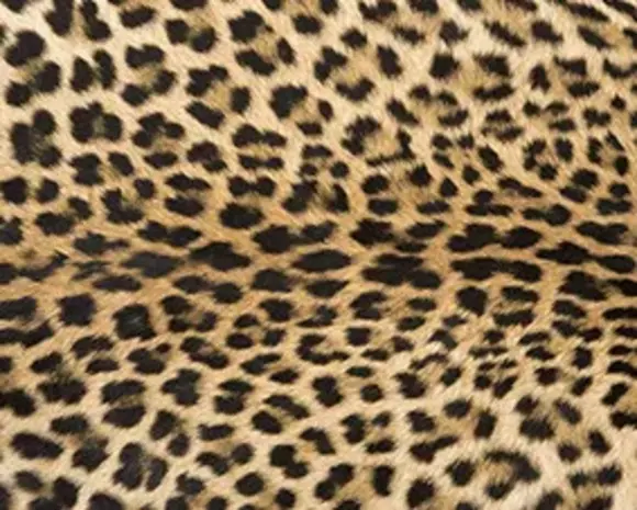 Tischset Vinyl | Leo. P Tischset Vinyl | Leo. P