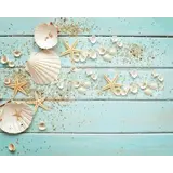 Placemat vinyl | Shells Placemat vinyl | Shells