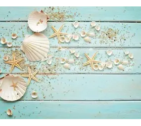 Placemat vinyl | Schelpen Placemat vinyl | Schelpen