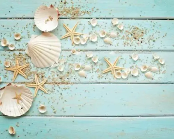 Placemat vinyl | Schelpen Placemat vinyl | Schelpen