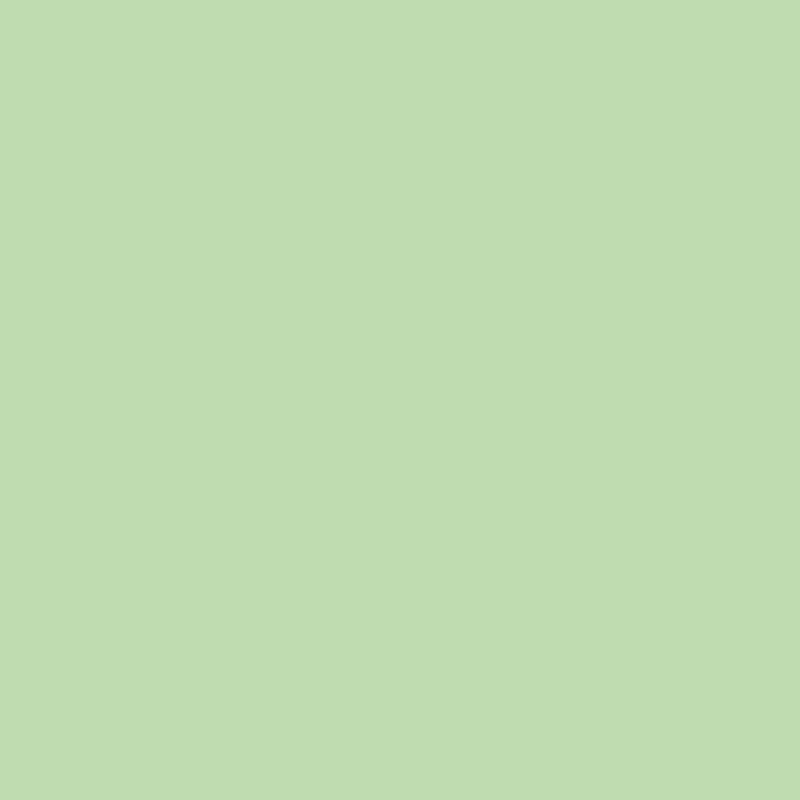 Tapis UNI vinyle | Vert Menthe