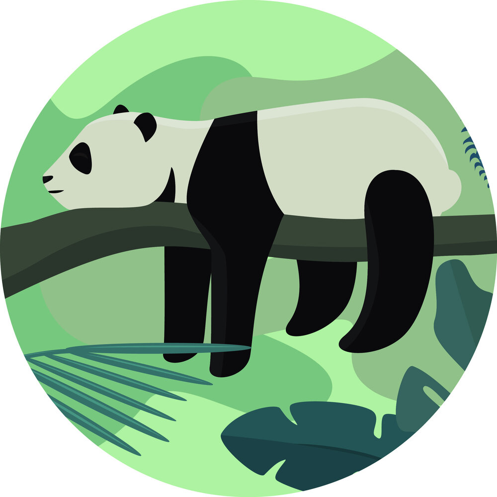 Kinderkamer kleed vinyl rond | Cozy Panda Kinderkamer kleed vinyl rond | Cozy Panda