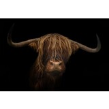Placemat Vinyl | Scottish Highlander dark