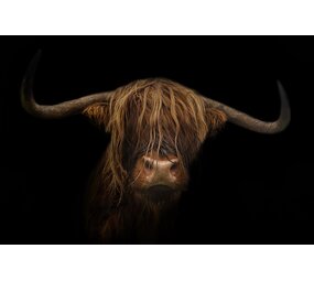 Placemat Vinyl | Scottish Highlander dark