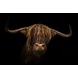 floorevents.com Tischset Vinyl | Schottisches Hochlandrind dunkel