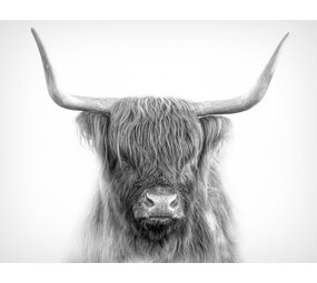 Induction protector | Scottish Highlander grey